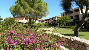 Un patio con un muro de piedra, flores de buganvilla y un árbol grande.
