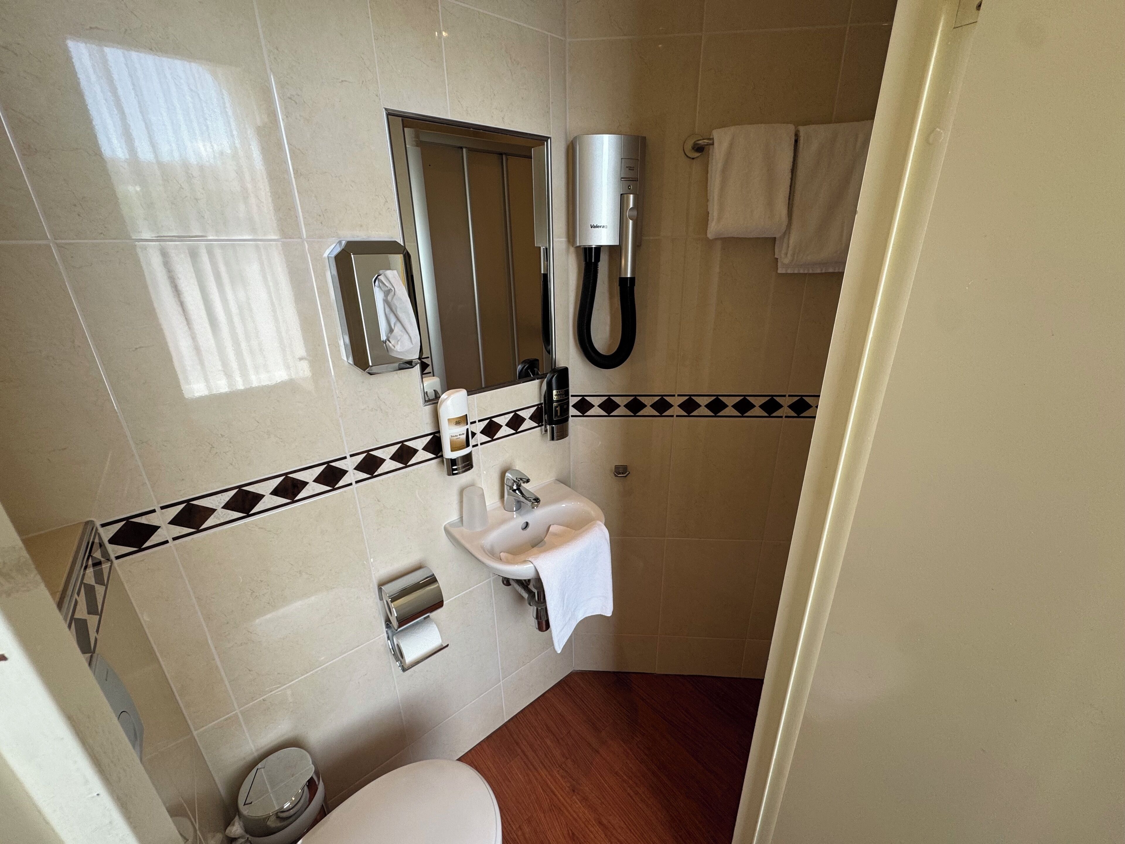 Un baño con inodoro, lavamanos, toallero y secador de pelo.