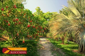 Garden - Tenuta di Roccadia (Carlentini)