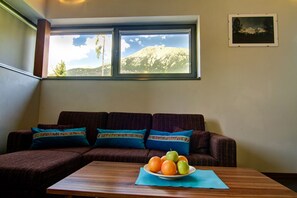 Apartment, 2 Bedrooms, Terrace | Living room