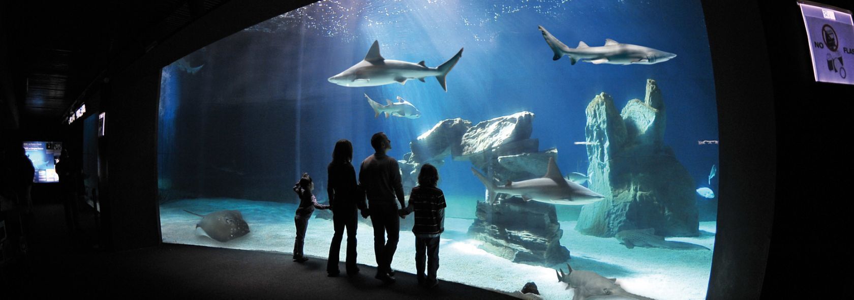 Foto - Home Grifondoro Affittacamere