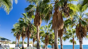 Blick auf den Garten