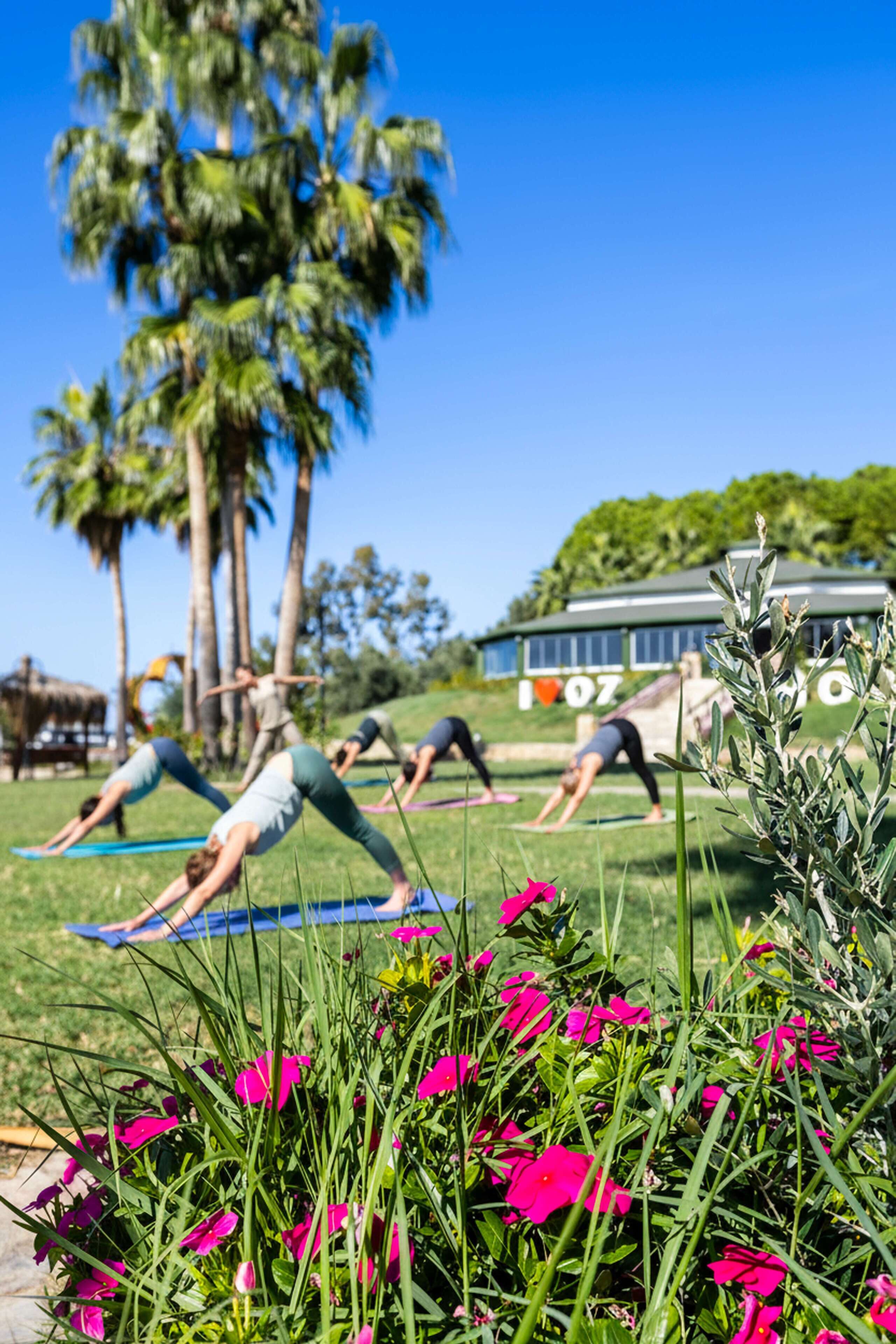 A group of people doing yoga on mats in an outdoor setting with palm trees and a building in the background.