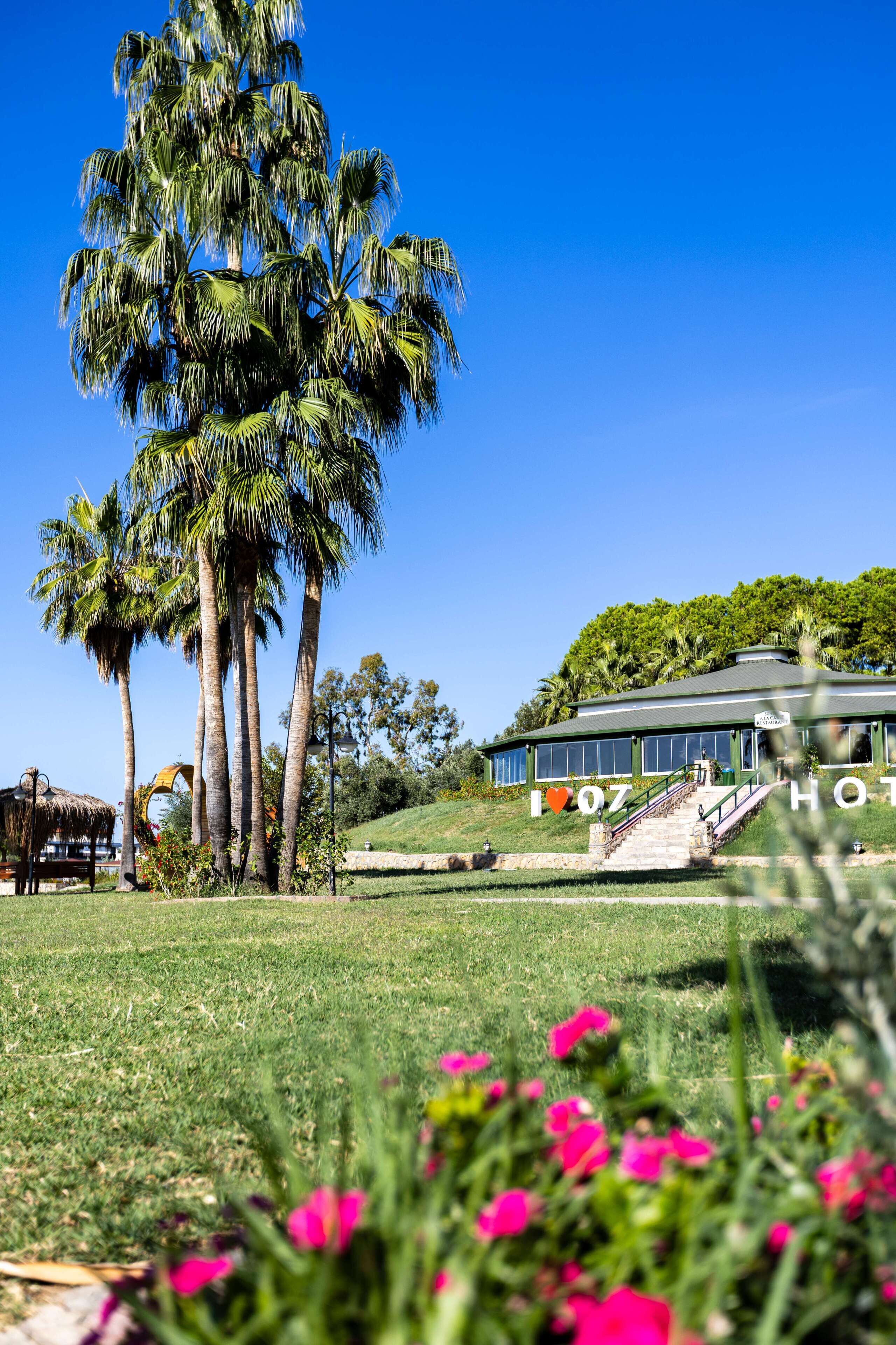 A hotel with a large palm tree in the foreground, a grassy lawn, and a building with a staircase leading to the entrance.