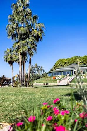 A hotel with a large palm tree in the foreground, a grassy lawn, and a building with a staircase leading to the entrance. - Oz Hotels İncekum Beach Resort (Alanya)