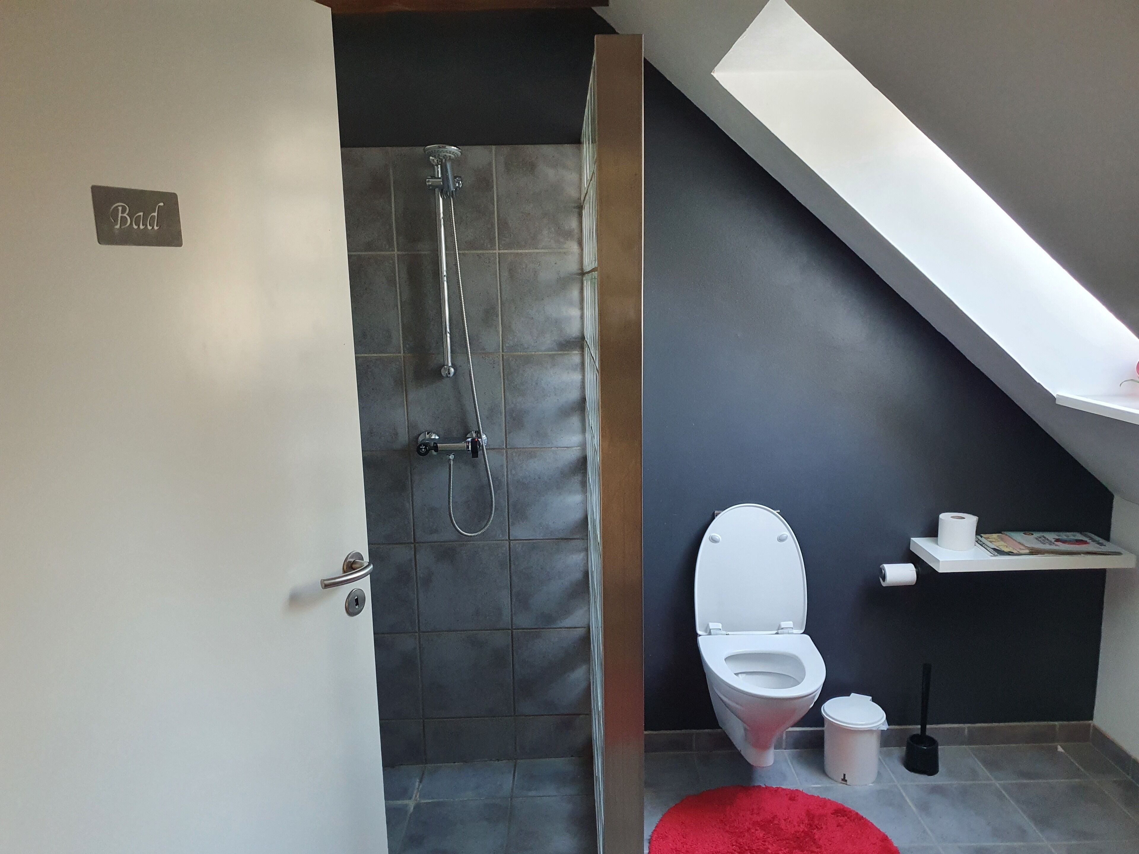 Un baño moderno con ducha, inodoro y una alfombra roja.