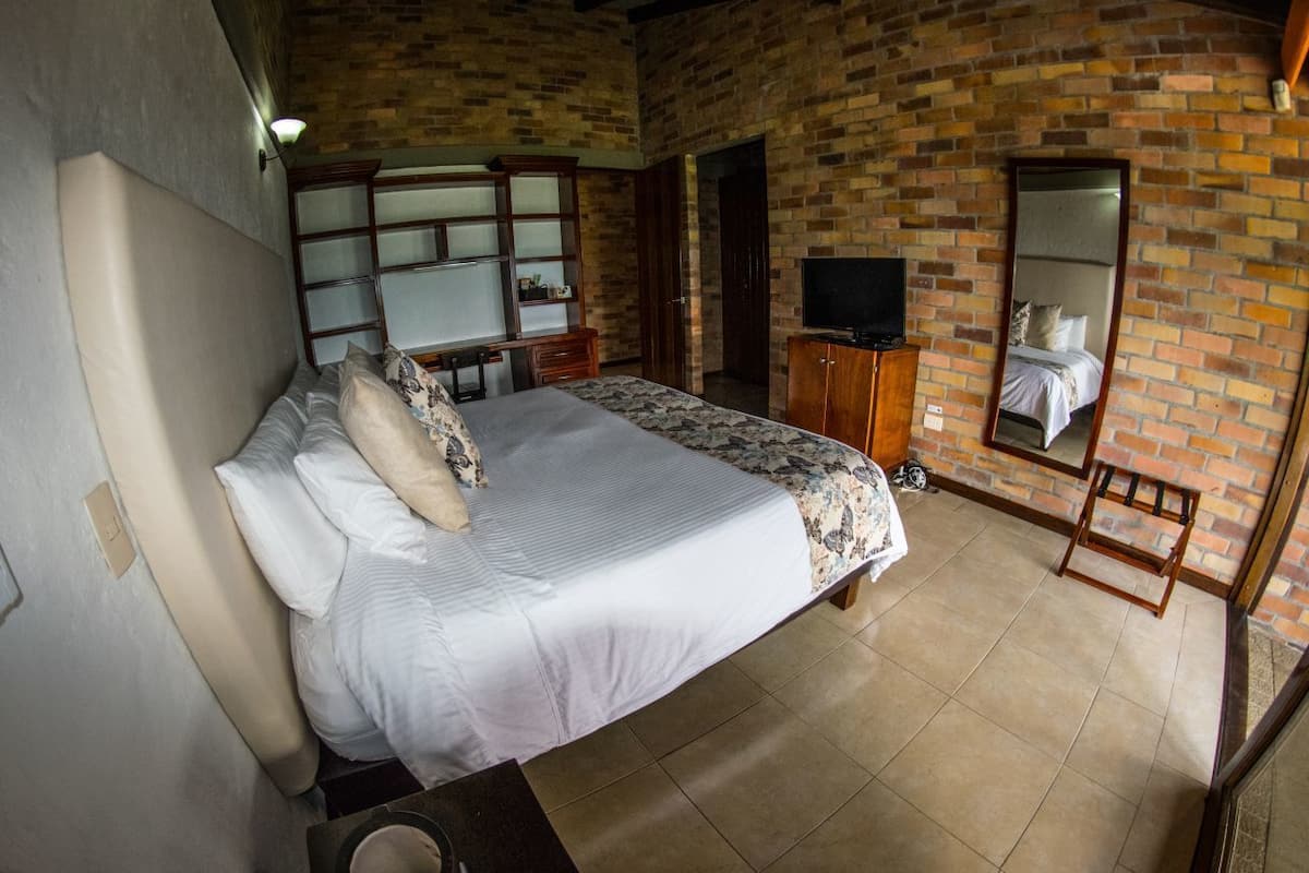 A bedroom with a bed, a television, a mirror, and a brick wall.