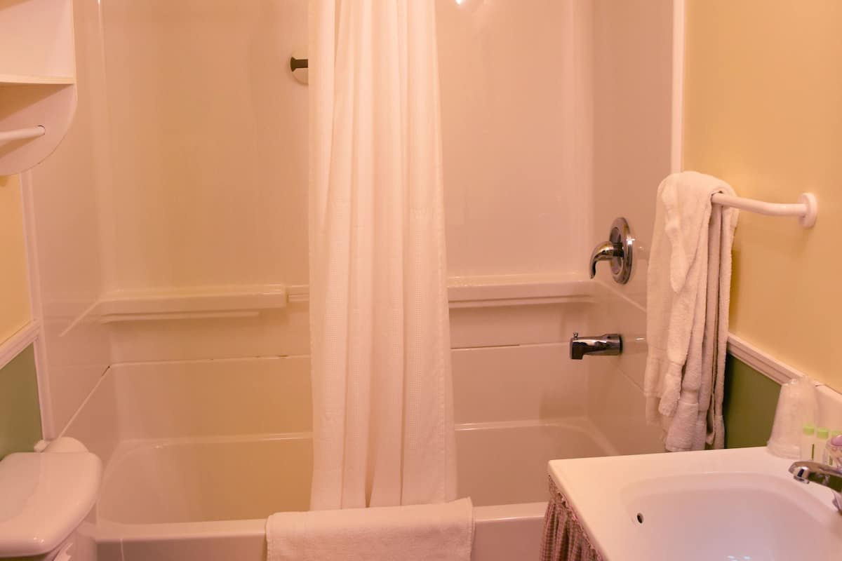 free toiletries, hair dryer, towels