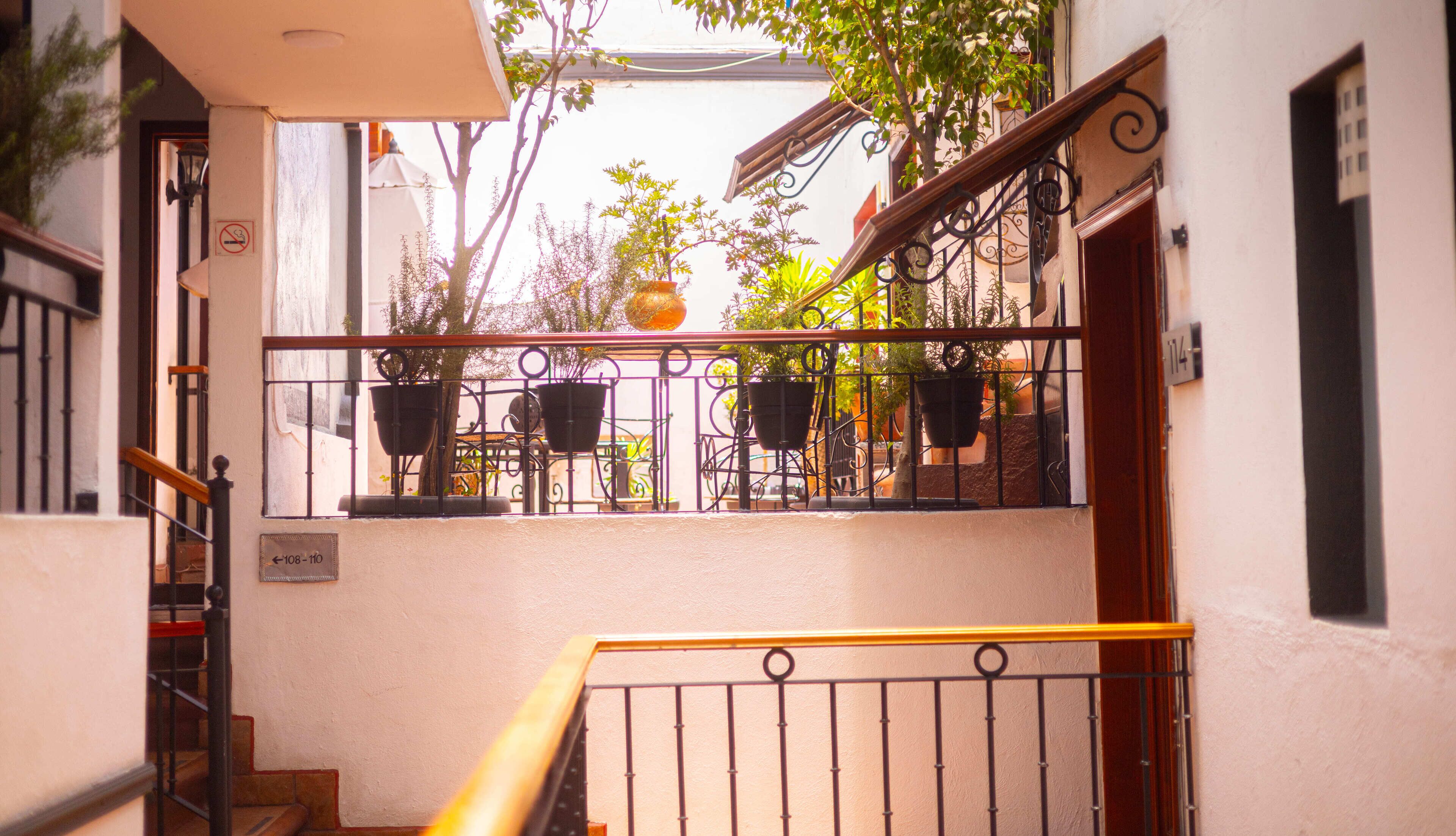 A balcony with a metal railing, potted plants, and a view of the street below.