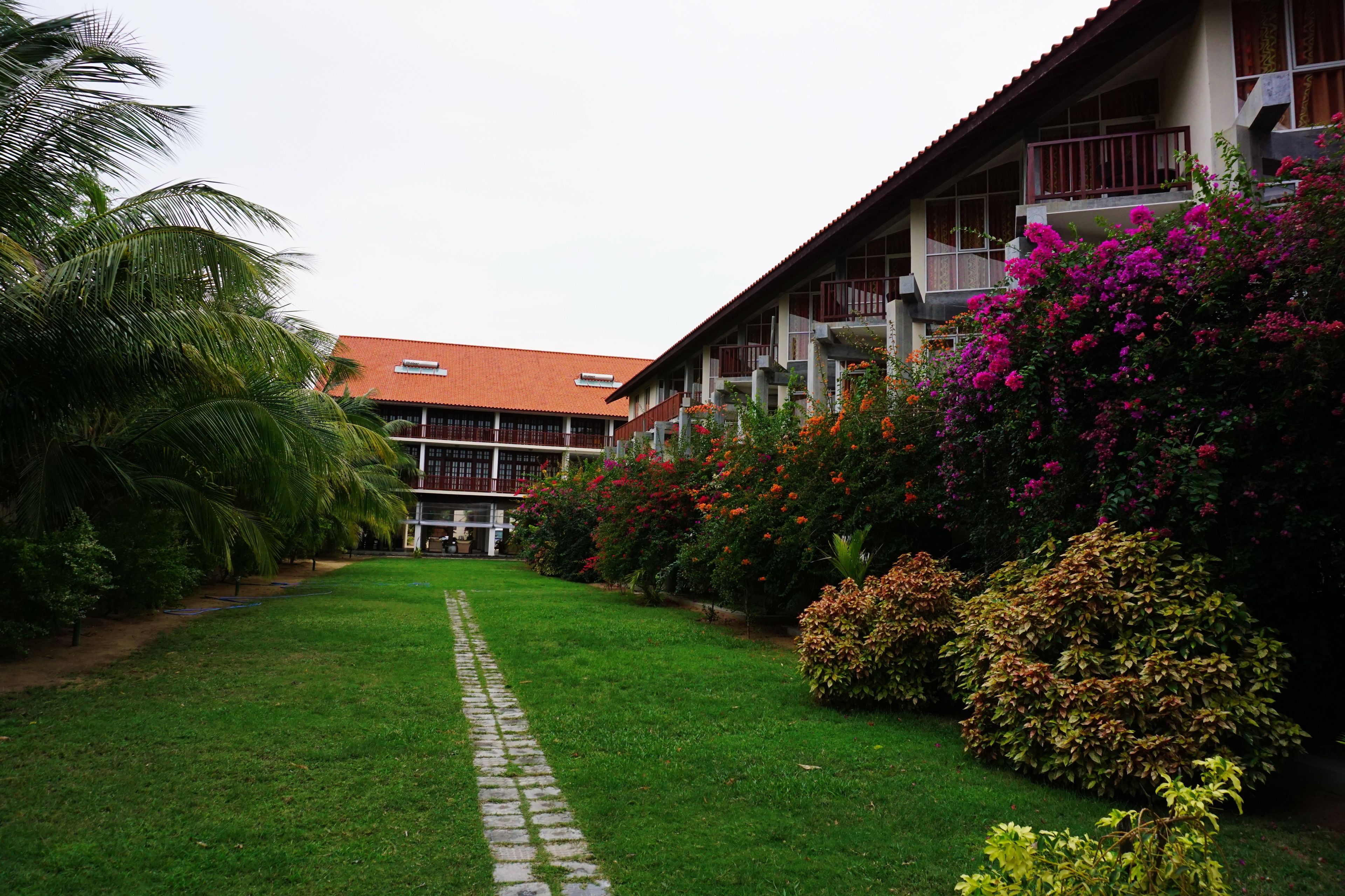 A building with a red roof, a paved pathway, and lush greenery including palm trees and flowering bushes.