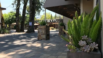 Un sendero pavimentado con macetas de piedra y un cartel que dice 'Solo un sentido, no entrar'.