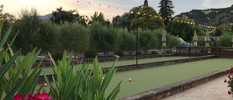 A croquet court with a green playing surface, surrounded by lush greenery and trees.