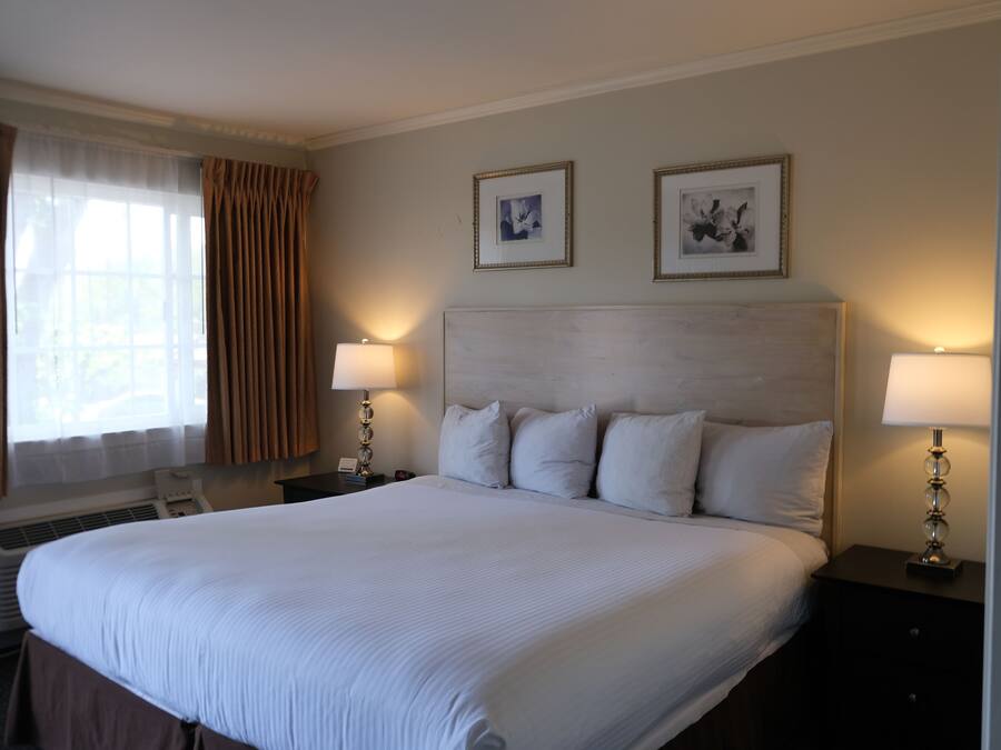 Habitación de hotel con una cama grande, dos mesitas de noche con lámparas, un ventanal con cortinas y dos cuadros en la pared.