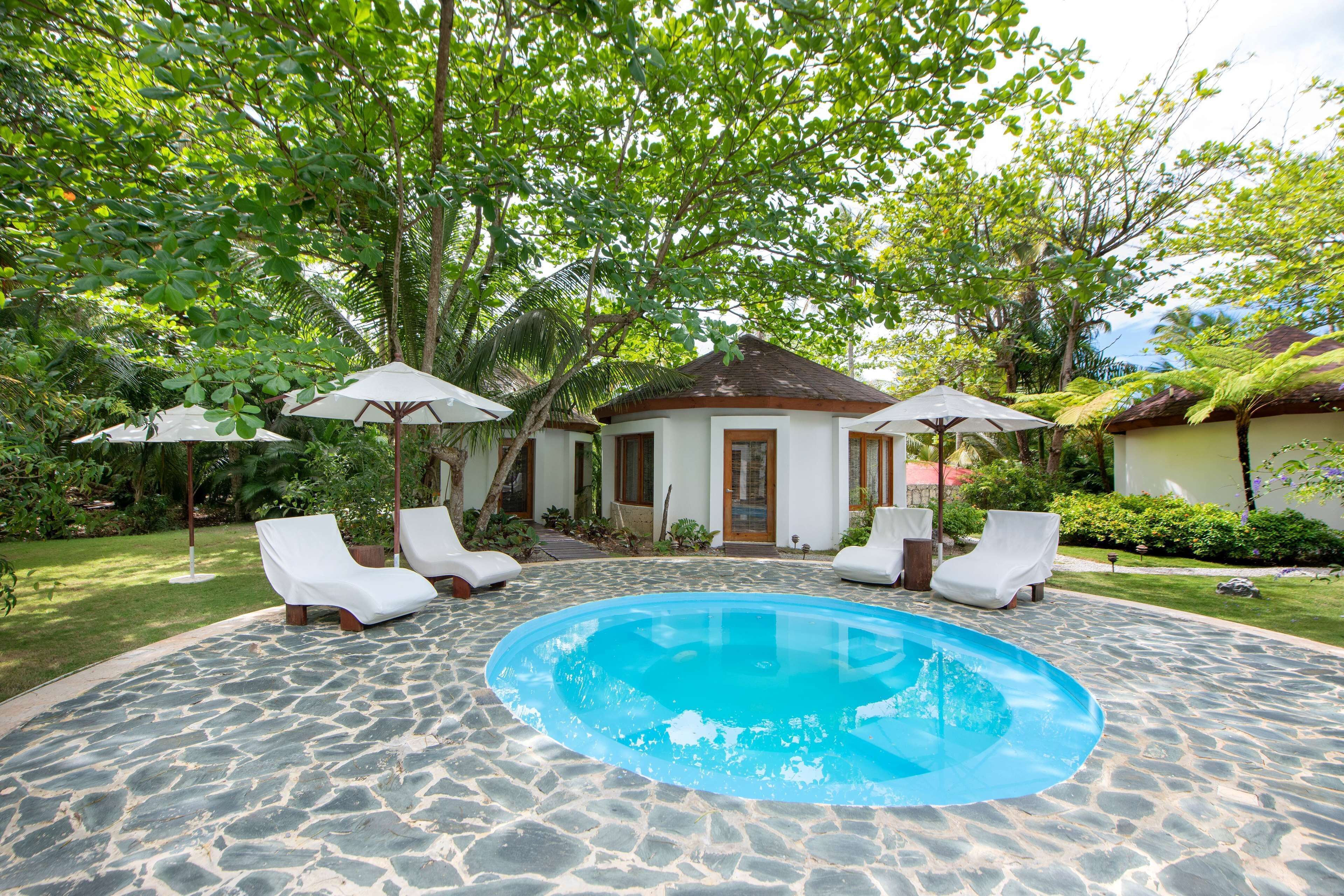 A pool area with lounge chairs and umbrellas, surrounded by lush greenery and a small building with a tiled roof.
