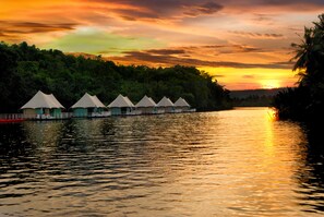 A row of tents by a calm river at sunset. - Canvas and Orchids Retreat (Koh Kong)
