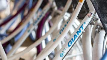 Ein Detailfoto von Fahrradrahmen, wobei der Markenname "GIANT" erkennbar ist.