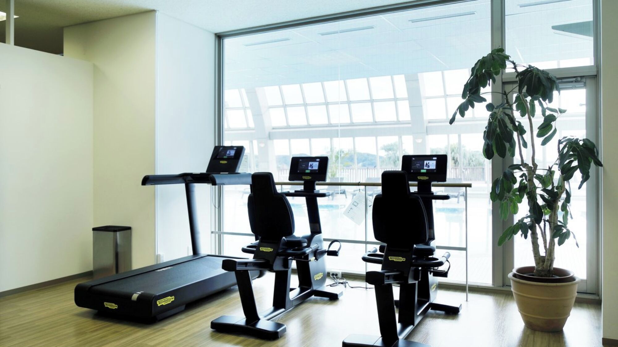 A gym with treadmills, stationary bikes, and a rowing machine. There is a potted plant and a window with a view of the outdoors.