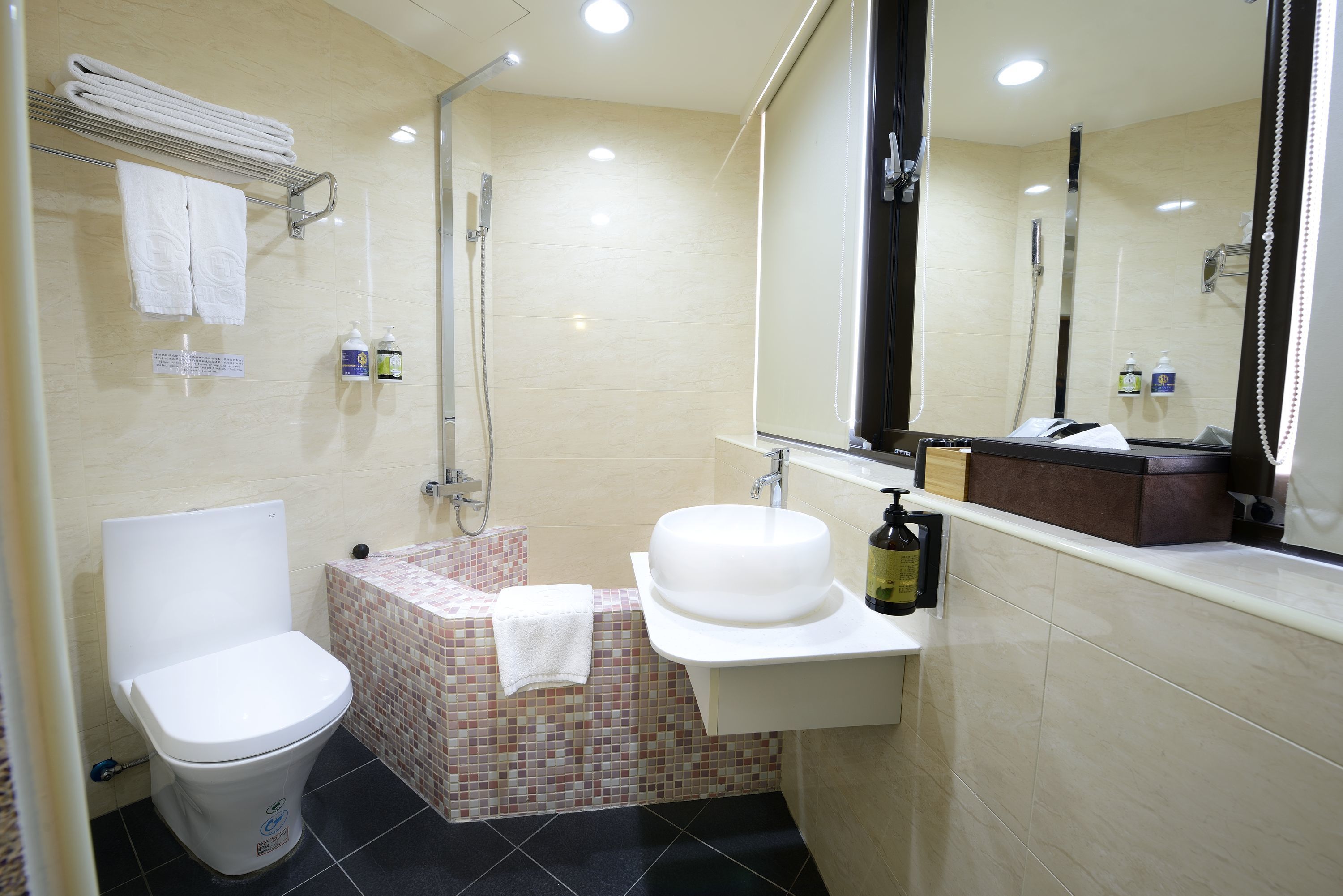 A bathroom with a toilet, a shower, a sink, and a mirror.