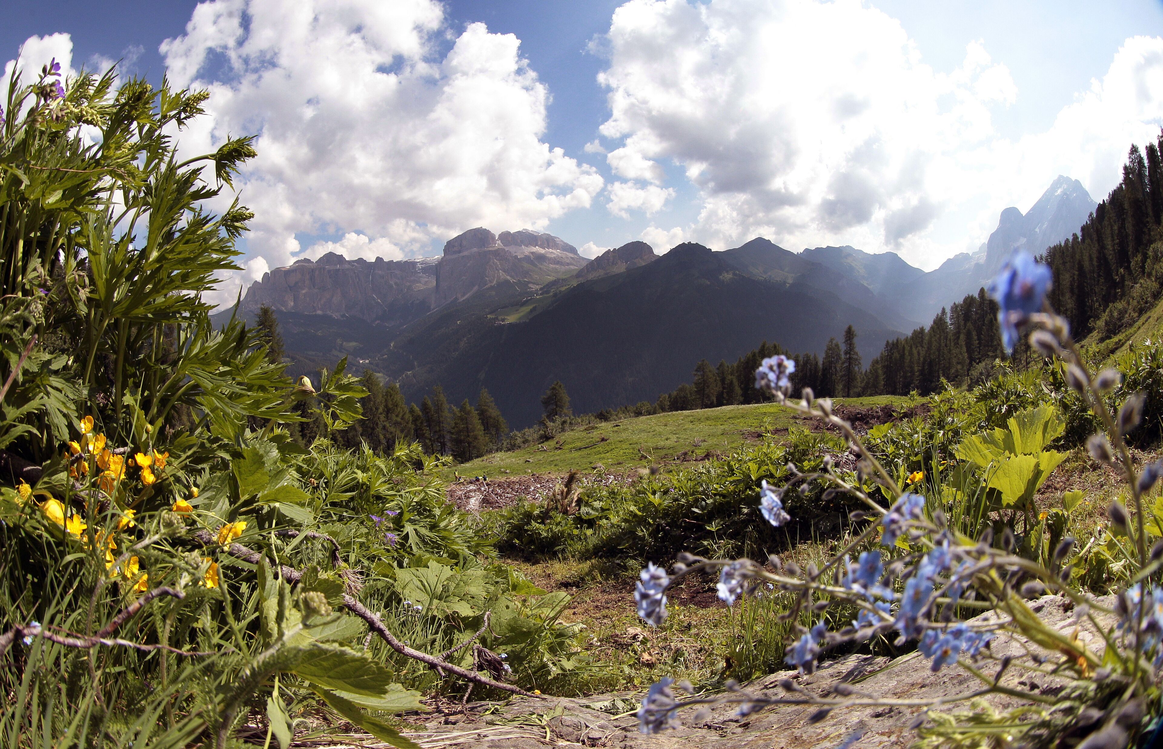 A mountainous landscape with a clear sky and a valley.
