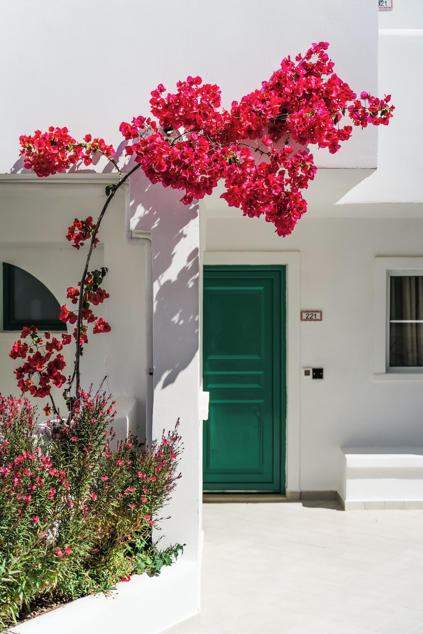 A white building with a green door and a number plate '221'.