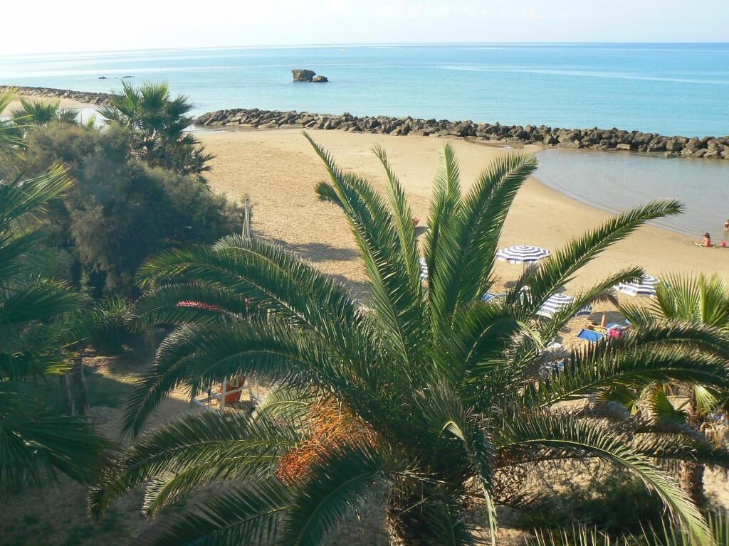 Une plage bordée de palmiers, une digue rocheuse et des parasols de plage.