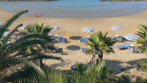 Una playa con sombrillas y sillas reclinables, palmeras y un mar tranquilo.