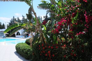 Un área junto a la piscina con una piscina azul cristalina, rodeada de exuberante follaje y flores rojas.