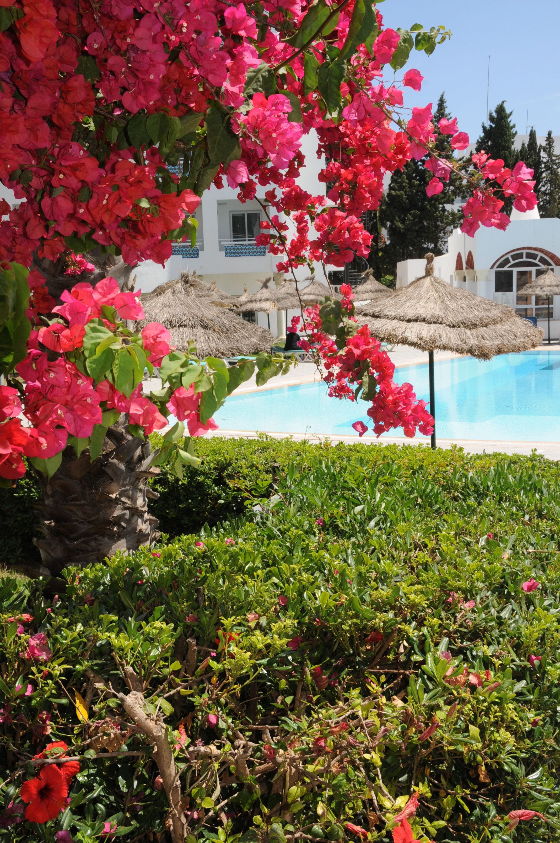 Photo - Hotel Menara