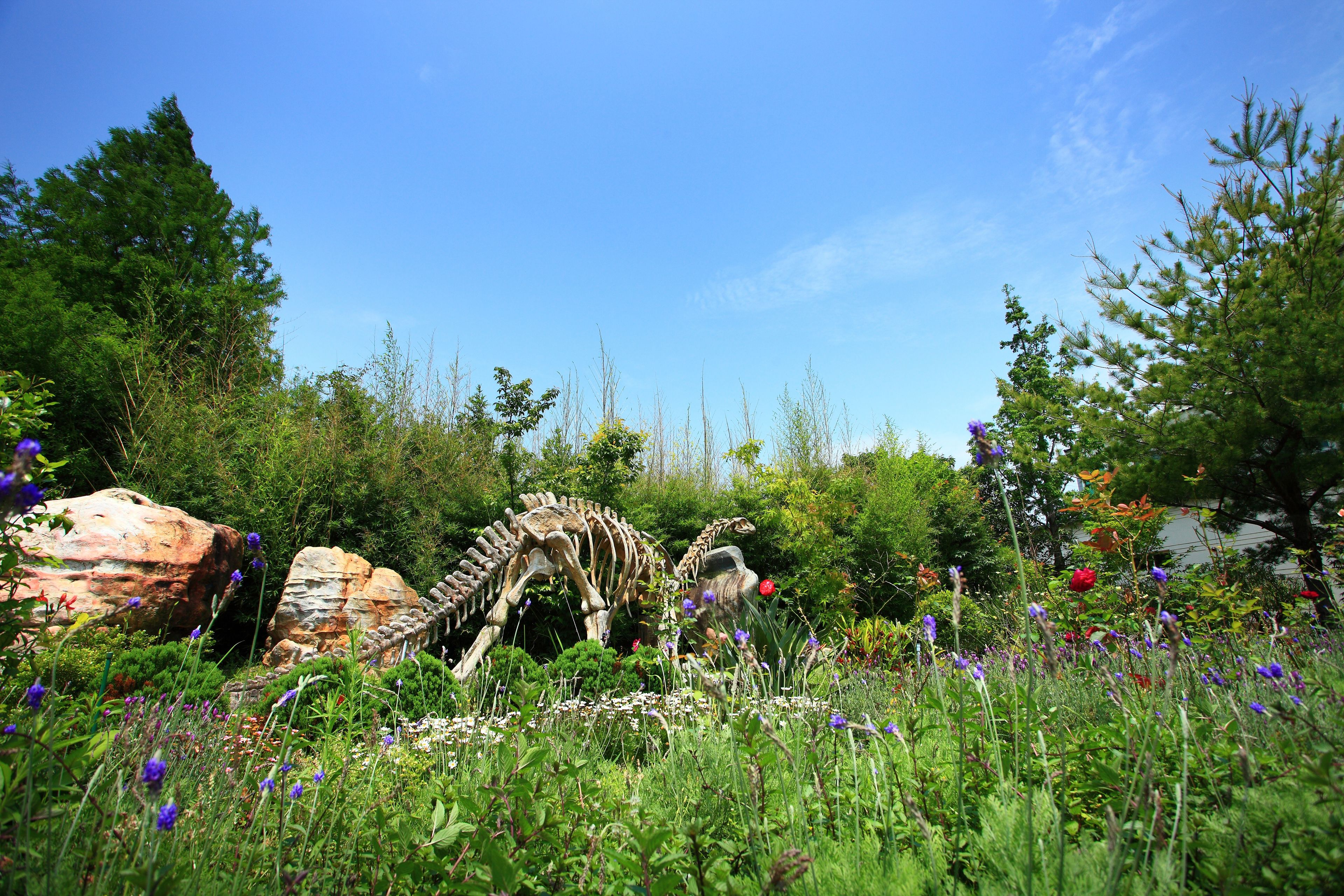 A garden with a dinosaur skeleton and various plants.