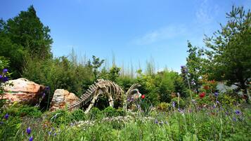 A garden with a dinosaur skeleton and various plants.