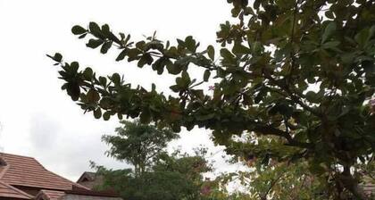 Shifeng International Holiday Hotel