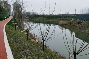 Property grounds - Zhuoshang Boutique Hotel (Hangzhou)