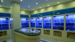Restaurant - Tianjin Huihao Business Hotel (Tianjin)