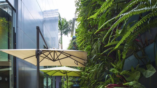 Un área de estar moderna al aire libre con pared de vidrio, rodeada de abundante follaje y helechos.