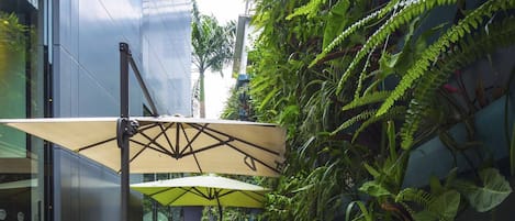 テラス / パティオ