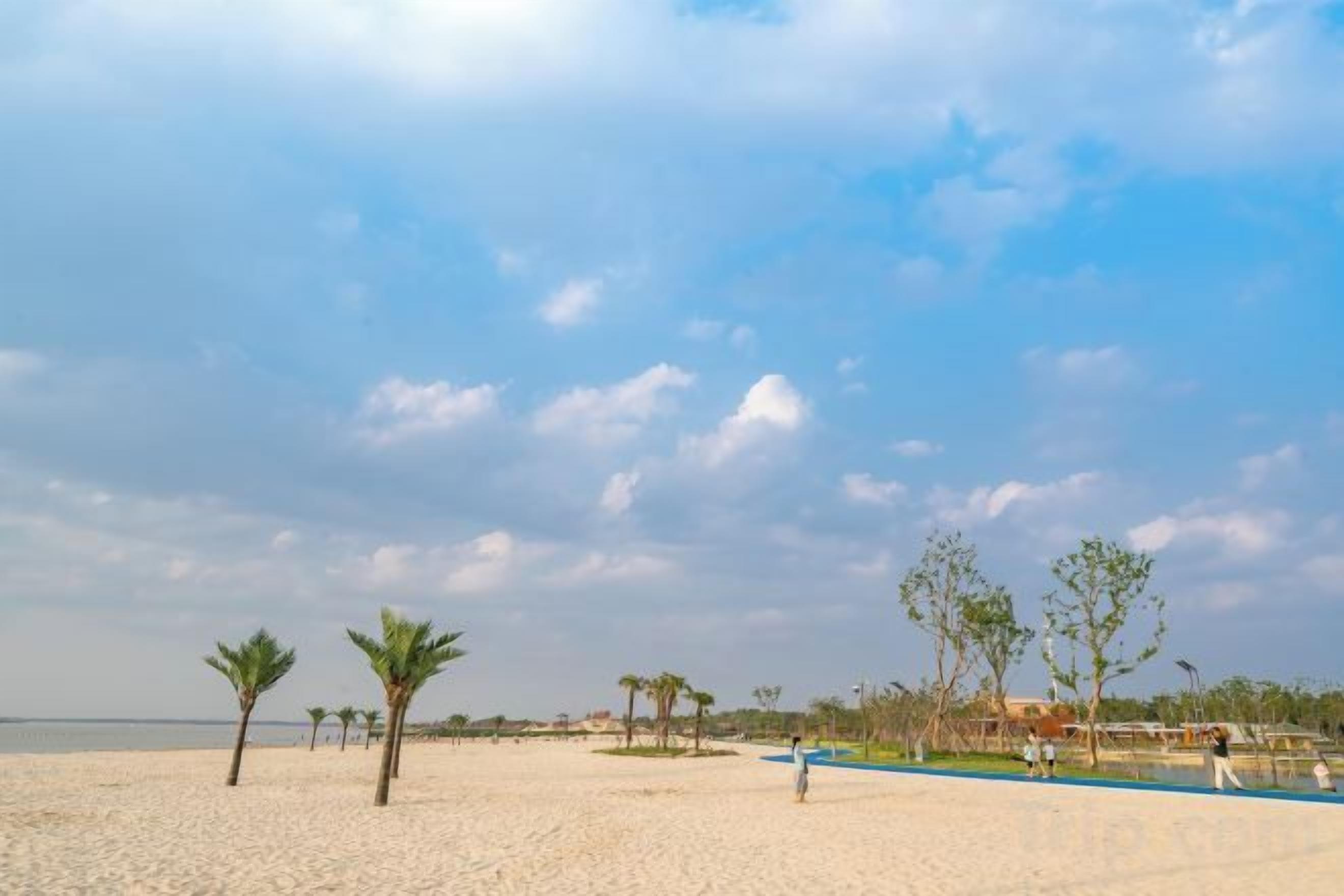 A beach with sand, palm trees, and a clear sky.