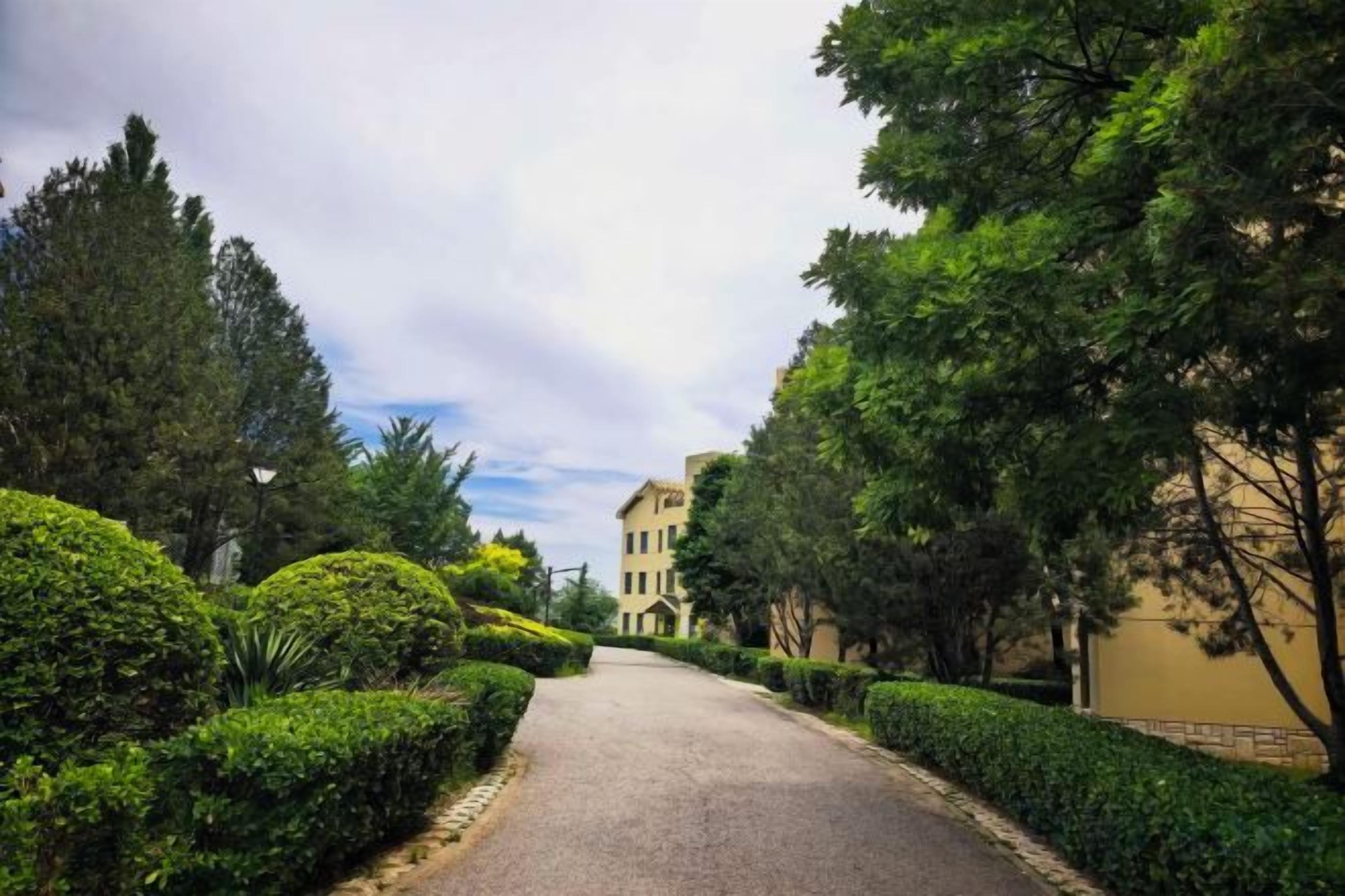 Un camí pavimentat flanquejat per setges i arbres ben tallats, que condueix a un edifici amb façana beix.