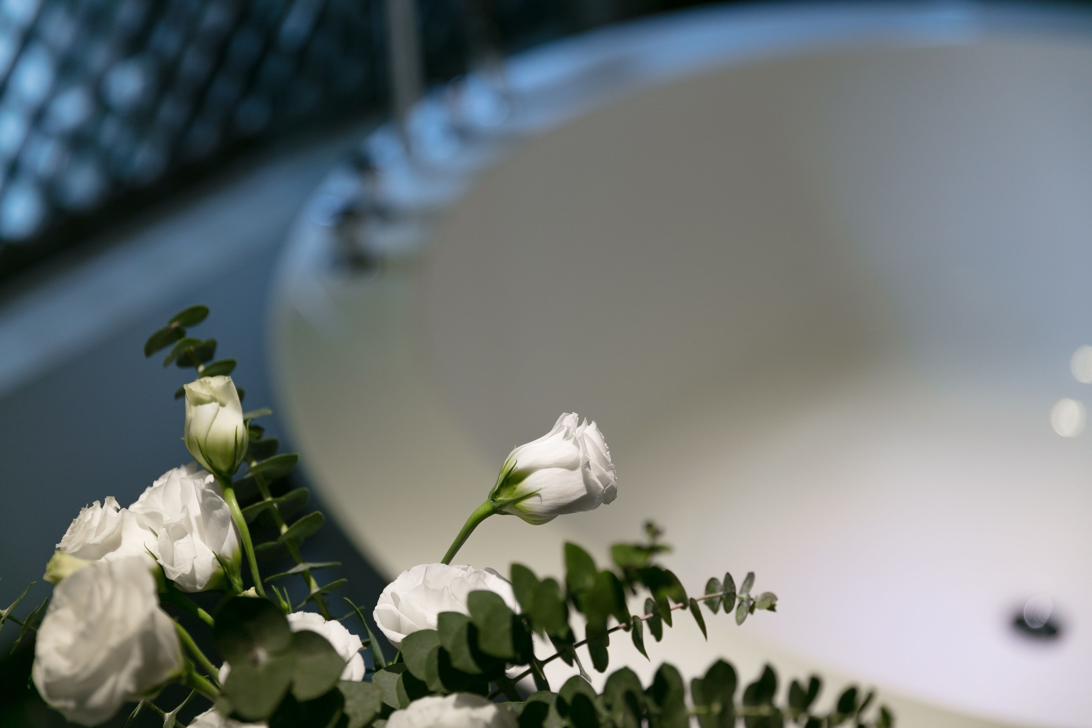 suite with garden view | view from room