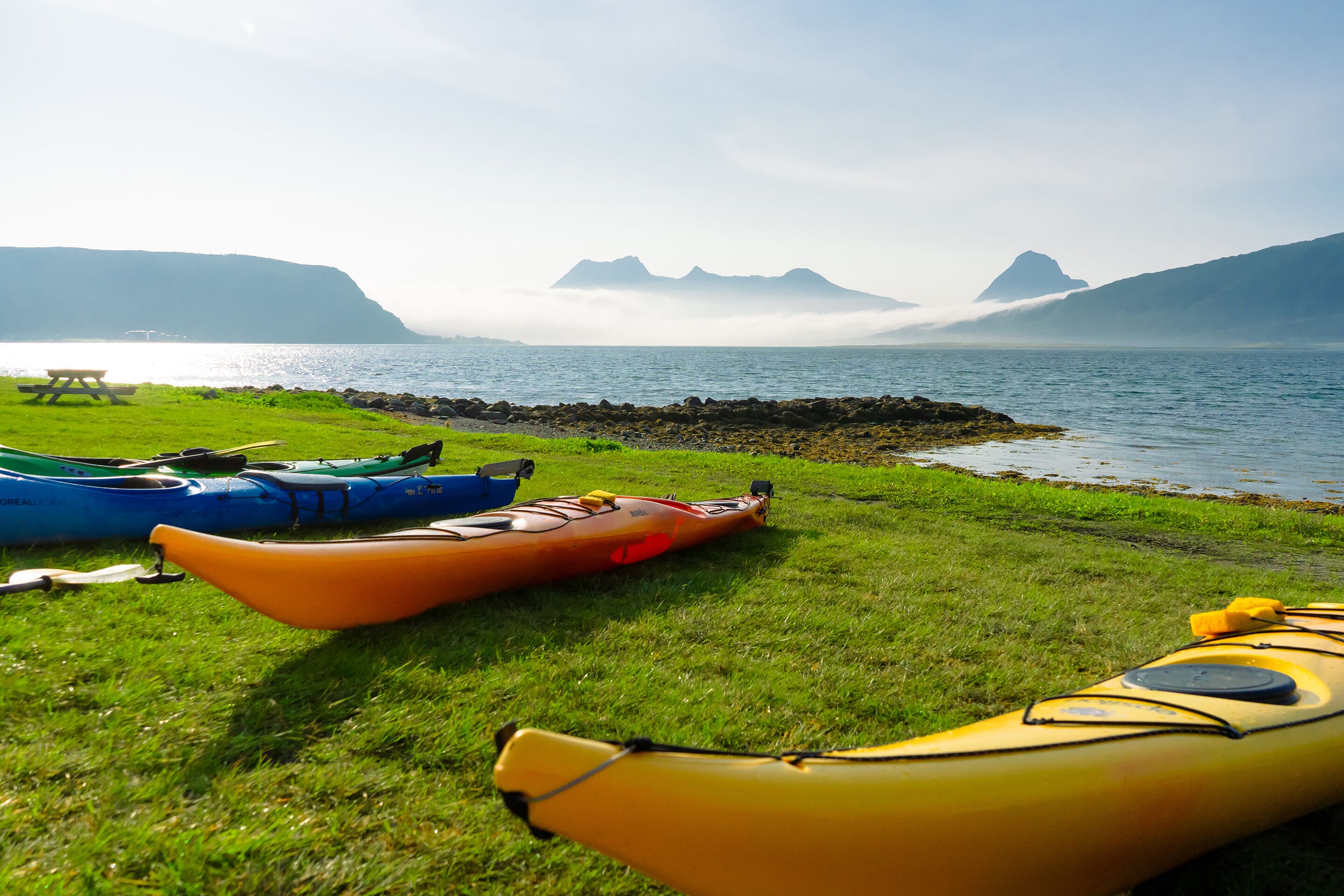 Kayaks lined up on a grassy area by a body of water with mountains in the background.