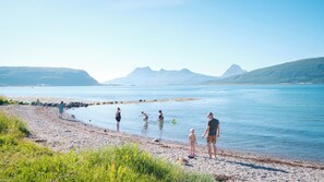 Une plage avec des gens, un chien et des montagnes en arrière-plan.