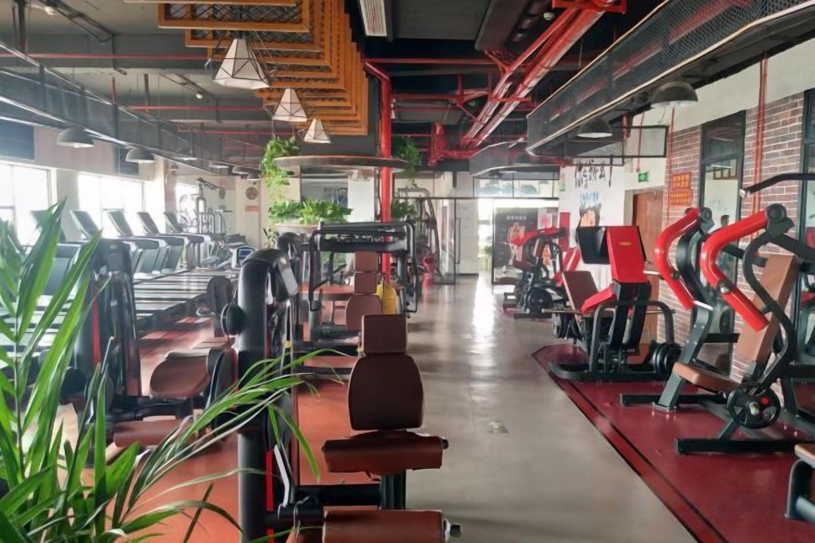 A gym with treadmills, stationary bikes, and weight machines.