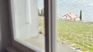Suite panorámica, 1 cama de matrimonio, terraza, vistas al lago | Vistas desde la habitación