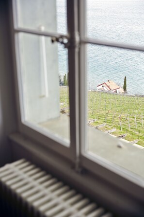 Suíte panorâmica, 1 cama Queen, terraço, vista para o lago | Vista do quarto