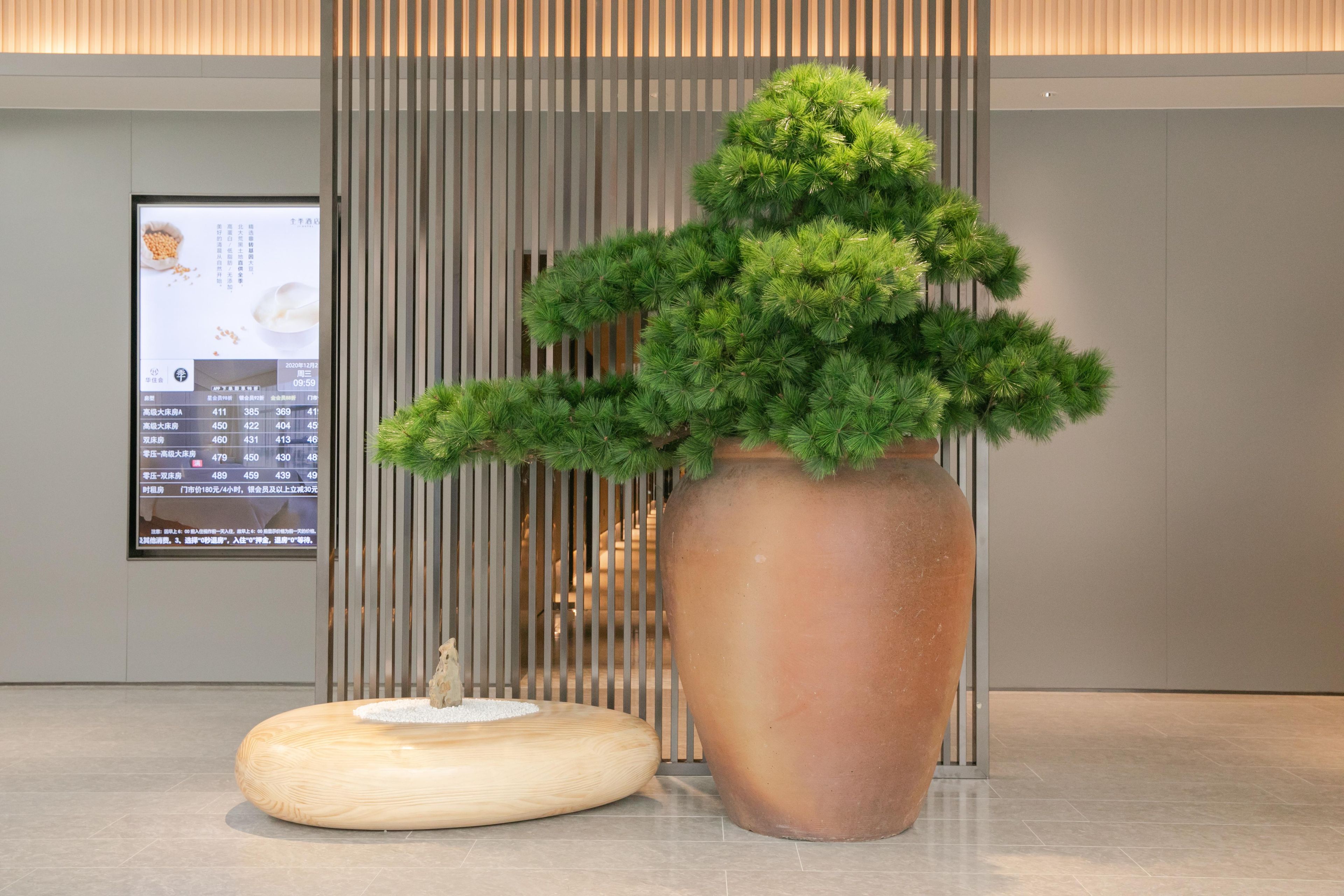 A large potted plant with a round wooden base in a modern interior space.