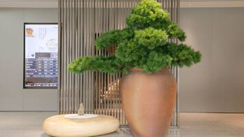 A large potted plant with a round wooden base in a modern interior space.