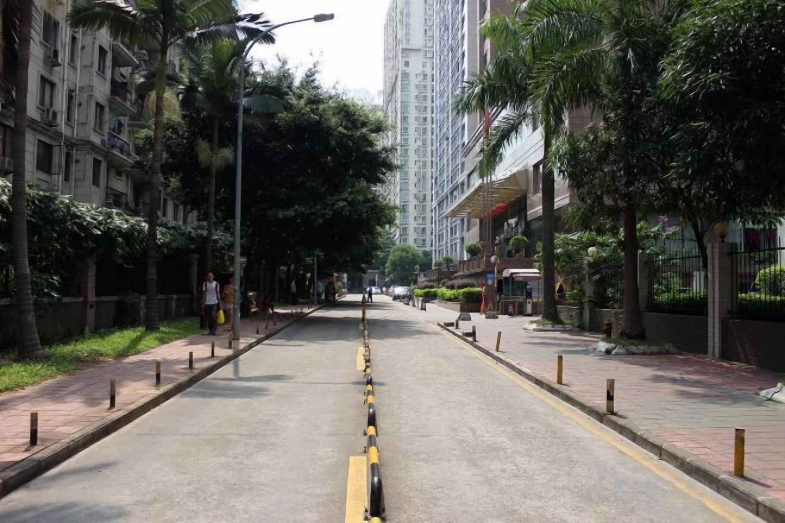 A city street lined with tall buildings, trees, and a clear road.