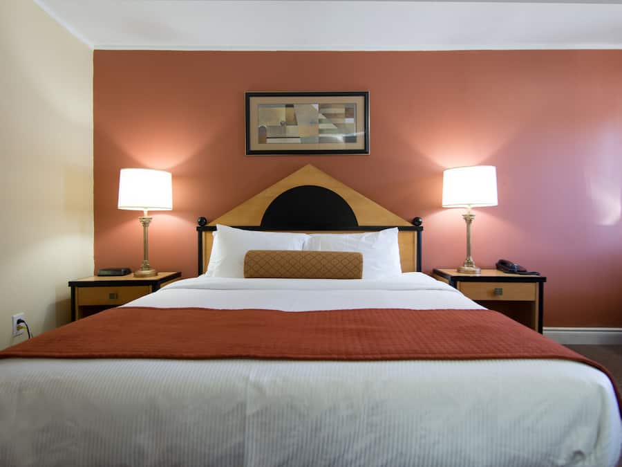 Room, 1 King Bed and Sofa Bed | Desk, free WiFi