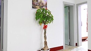 Interior - Xiamend Gulangyu More House (Xiamen)