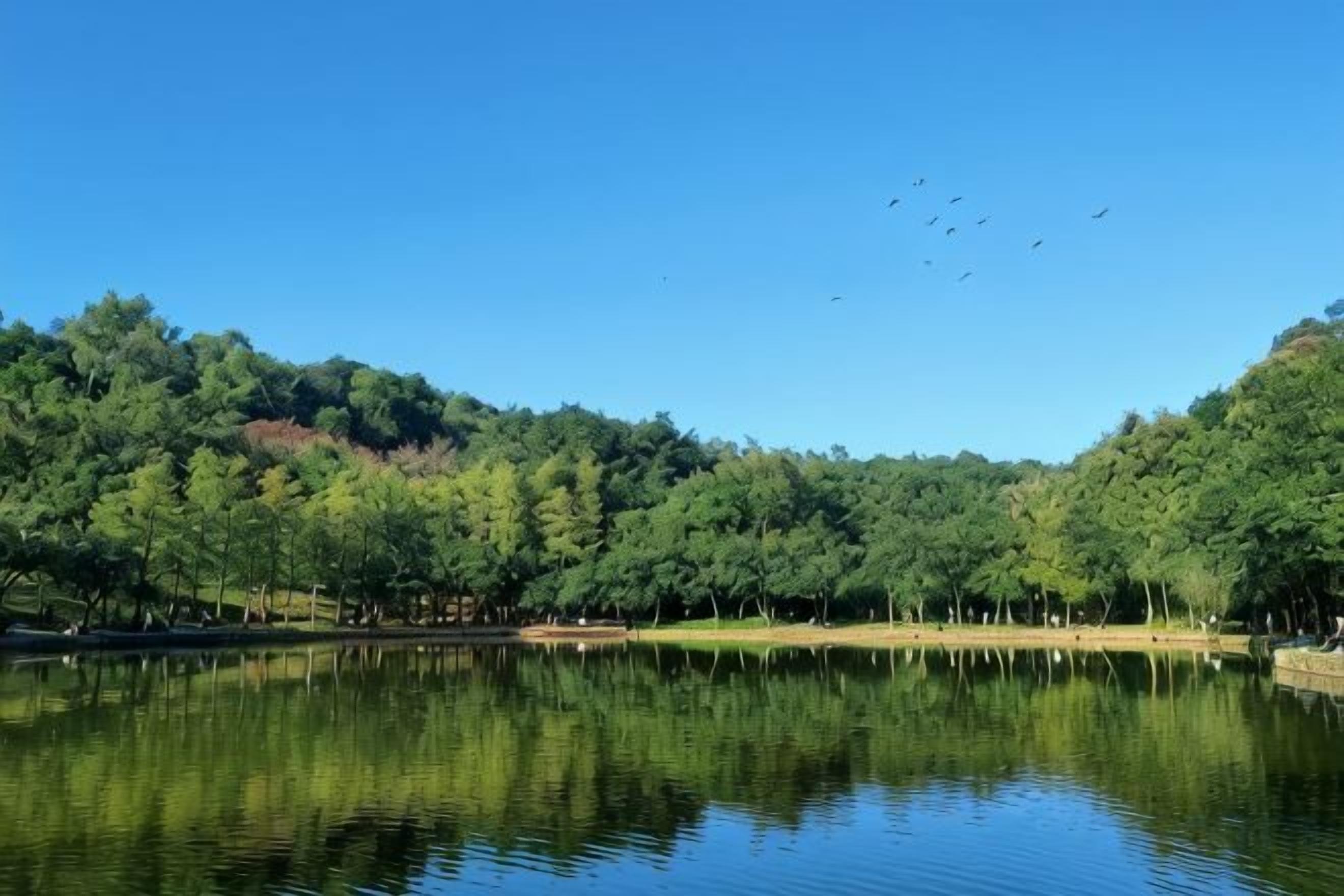 A calm lake with a forested hill in the background.