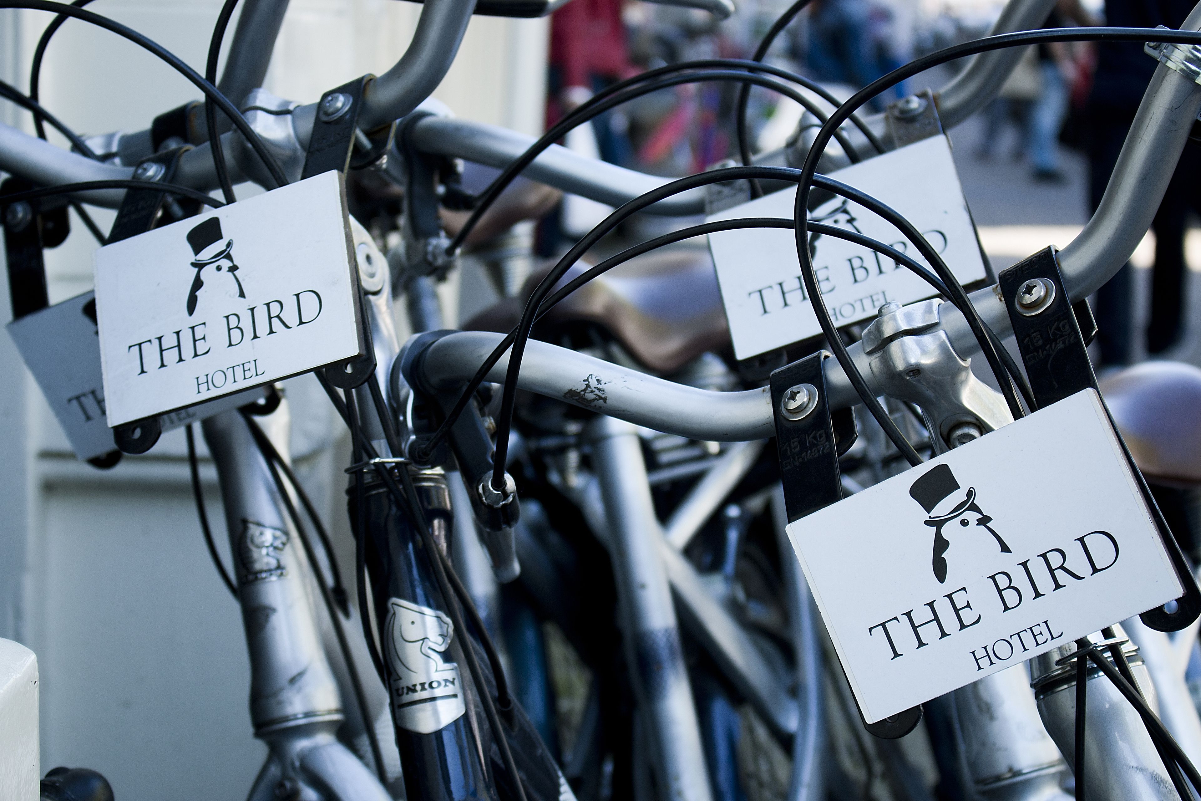 Foto - Hotel The Bird